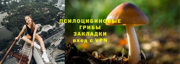 метамфетамин Каменка