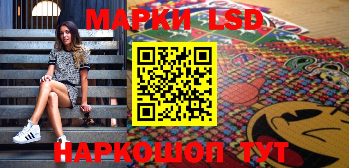 Псилоцибиновые грибы Вологда