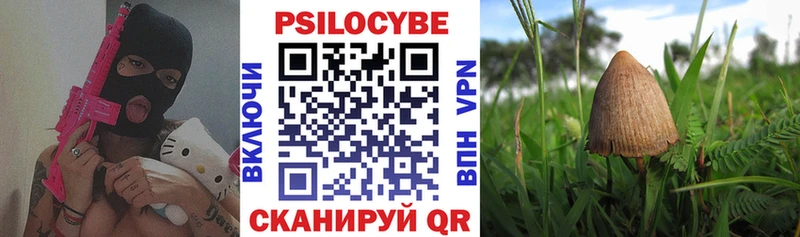 Галлюциногенные грибы MAGIC MUSHROOMS  Вологда 
