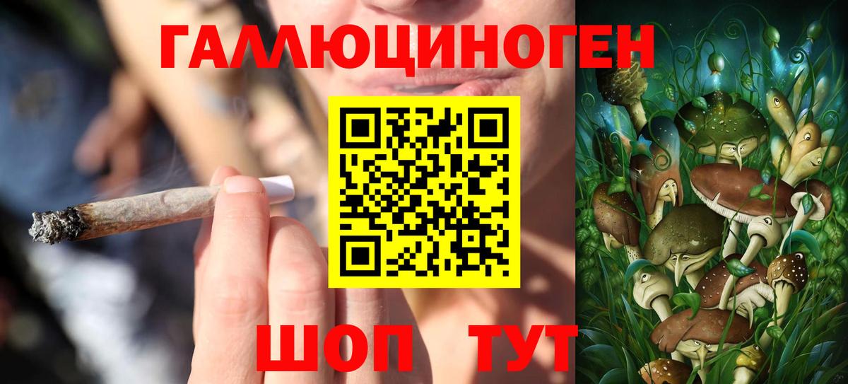 Псилоцибиновые грибы GOLDEN TEACHER Вологда